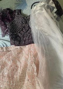 Elegant Chholi With Blouse Dupatta And Coty