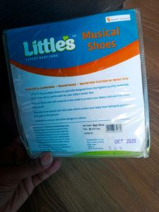 Little Baby Boy Musical Shoes