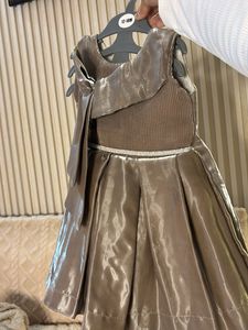 Elegant Shimmering Gown