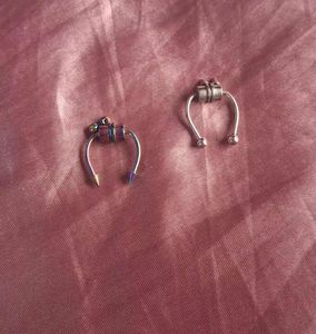 Magnetic Septum Rings