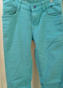 Sea Green Vintage Jeans Imported Fabric