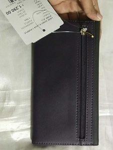 Baggit Wallet