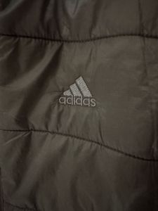 Adidas Padded Jacket