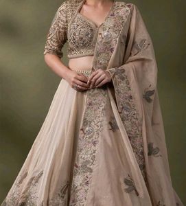 Champagne Gold Embroidered Lehenga Set