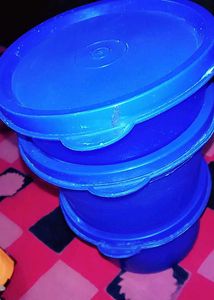 Elegant Food Container