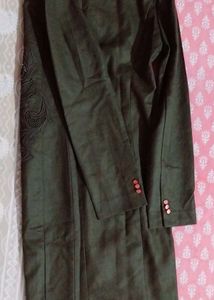 Elegant Green Woolen Dress