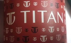 Titan two-tone gold and silver analog men's watch