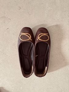 Elegant Brown Bellies with Gold Accent