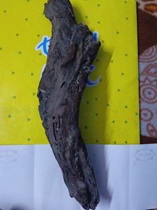 Aquarium Wood