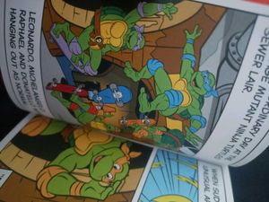 Teenage Mutant Ninja Turtles x Hello Kitty Book