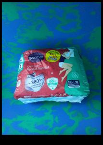Evereve Period Panties M-L