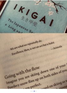 Ikigai: The Japanese Secret to a Long and Happy Li