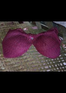 Premium Lace Bras - Pack of 3