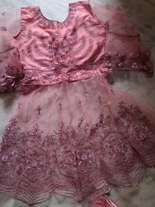 Net Thread Work Sharara In Pink