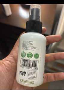 rosemary hair spray
