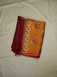 Vibrant Floral Saree