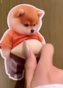 Funny Belly Puppy Showp(270 for 2 sticker)