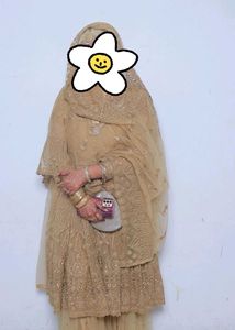 Elegant Ethnic Gown