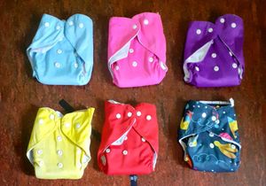 Cloth Diaper Set of 5 Along With Inserts
