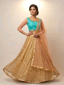 Sparkling Golden Lehenga Choli