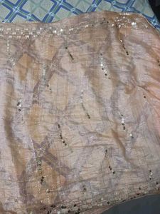 Party wear Dupatta Light Orange