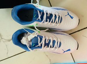 Puma Cricket Shoes -  New
