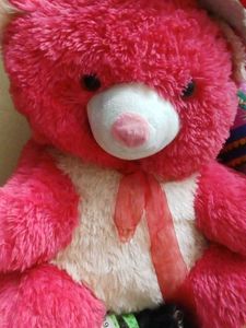 Large Pink Teddy Bear Plush