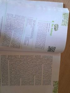 Flamingo And Vistas English Book For Class 12