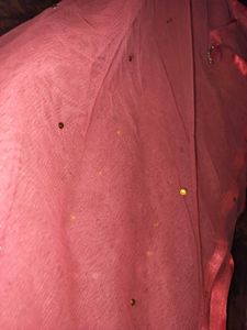 Pink Net Dupatta