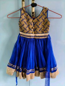 Royal Blue & Gold Embroidered Lehenga Choli