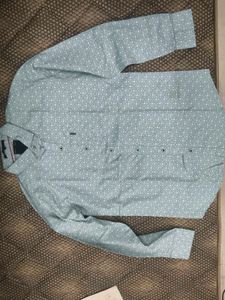 Men's Bluish green Printed Shirt