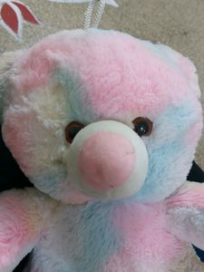 Cute Multi Color Teddy With Hanging Rope