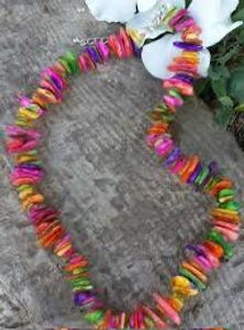Vibrant Shell Necklace
