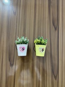 Pack Of 2 Planters Fridge Magnet