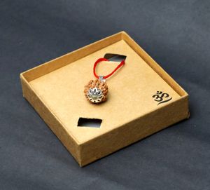 Sath mukhi Rudraksh