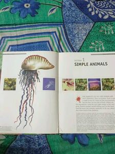 Animals Encyclopedia Book