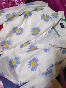 Chic Daisy Print Sheer Blouse