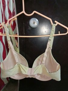 Elle 80c Size Padded Bra