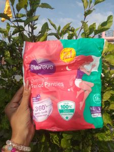 Evereve Overnight Period Panties