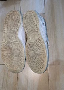 Nike Dunk Low Year of the Rabbit