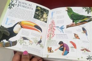 Big Book Of Knowledge