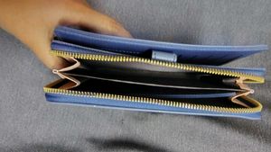 Blue Cartoon Wallet