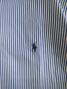 Polo Ralph Lauren Striped Button-Down Shirt