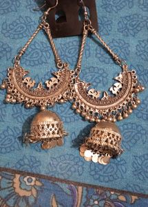 Stunning Earings