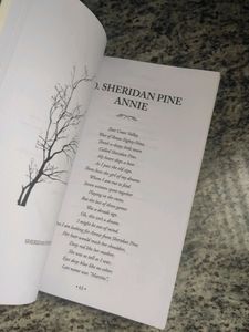 Poetry Book Odyssey Of Words Poems