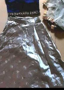 Elegant Blue &amp; Silver Lehenga Choli