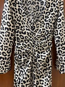 H&amp;M Leopard Print Long Sleeve Dress