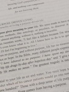 The Purpose Driven Life by Rick Warren