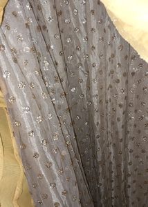 Elegant Ethnic Gown