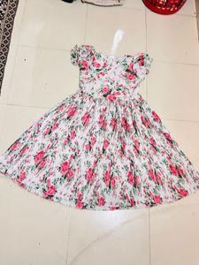 Floral Print Pleated Dress